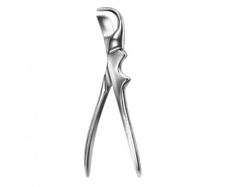 Rib Shear